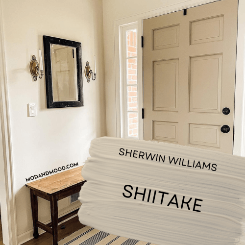 Swatch of Shiitake over a photo of the color on the inside of a front door with creamy alabaster walls.