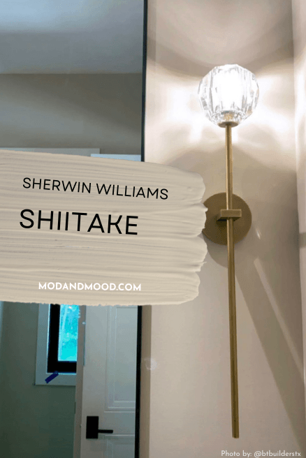 Sherwin Williams Shiitake as a paint swatch over a photo of the color in a bathroom with a mirror.