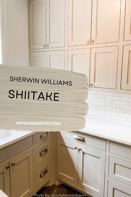 Sherwin williams Shiitake on laundry room cabinets
