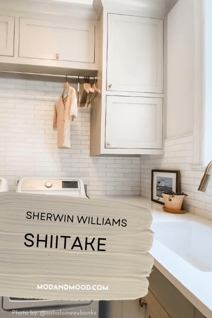 Sherwin williams Shiitake on laundry room cabinets