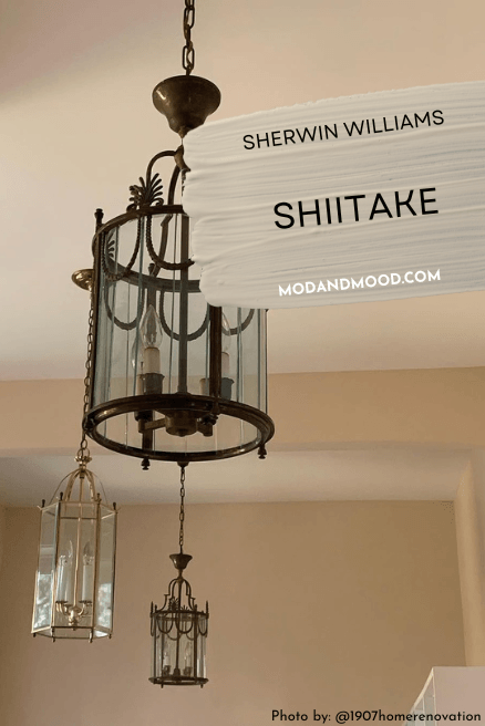 Sherwin Williams Shiitake on walls in the background of a close up of lantern light fixtures hanging from a ceiling.