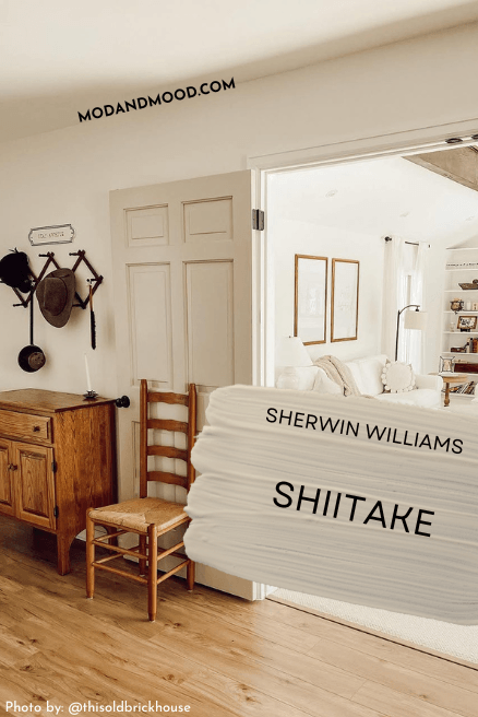 Sherwin Williams Shiitake on a door in a white hallway