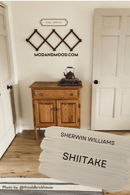 Sherwin williams Shiitake on a door with Alabaster walls and wood floors.