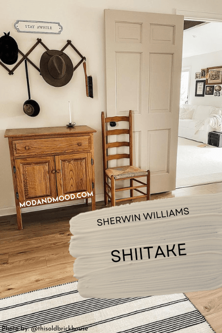 Swatch of Shiitake over a photo of the color on an interior door with alabaster walls.