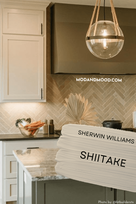 Sherwin williams Shiitake swatched over a photo of the color on kitchen cabinets with hood vent and island in cast iron.