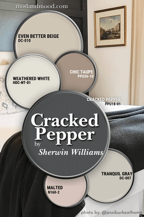 Behr Cracked Pepper color palette features Cracked Pepper, Malted, Tranquil Gray, Chic Taupe, Weathered White, and even better beige over a background of the color on a bedroom wall.