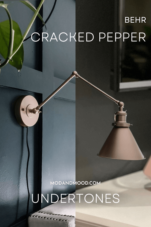 Behr Cracked Pepper with a foresty green undertone on the left, and a browny olive undertone on the right.