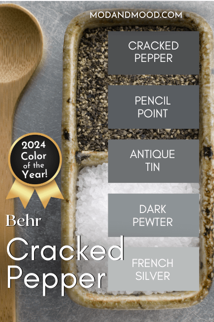Behr Cracked Pepper on a color strip with lighter shades Pencil Point, Antique Tin, Dark Pewter, and French Silver, over a background of a wood salt and pepper dish with a wooden spoon beside it.