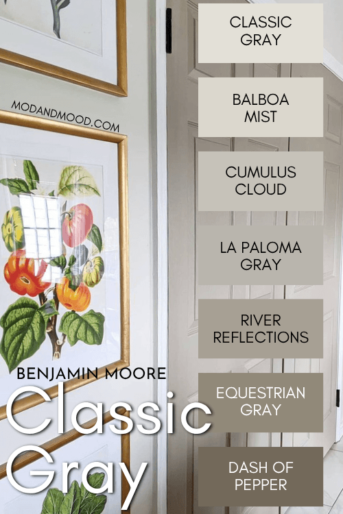 Benjamin Moore Classic Gray color strip features colors from light to dark: Classic Gray, Balboa Mist, Cumulus Cloud, La Paloma Gray, River Reflections, Equestrian Gray, Dash of Pepper