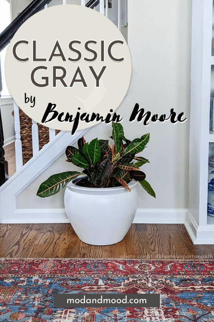 Benjamin moore classic gray swatched over the color on walls with white trim