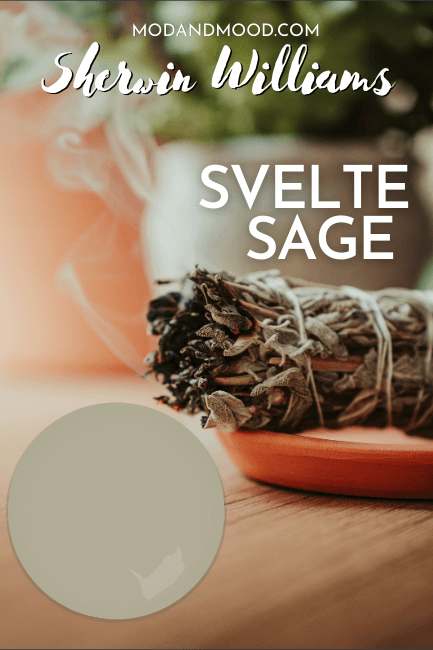 A bundle of sage smokes over a paint dot of Sherwin Williams Svelte Sage