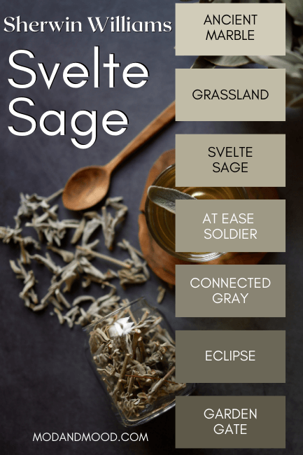 Sage leaves spill out of a mason jar beside the color strip for Sherwin Williams Svelte Sage. Colors from light to dark are Ancient Marble, Grasslands, Svelte Sage, At Ease Soldier, Connected Gray, Eclipse, and Garden Gate