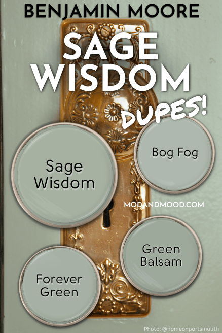 Background of a sage green wall and vintage brass door knob with swatches of Sage Wisdom, and dupes from other brands, including Bog Fog, Green Balsam, and Forever Green.