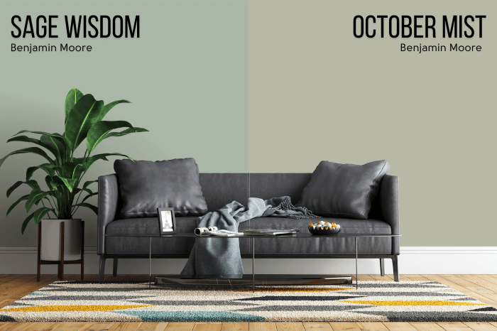 Benjamin Moore Sage Wisdom on half of a wall and October Mist on the other half in a living room with a dark gray leather sofa.