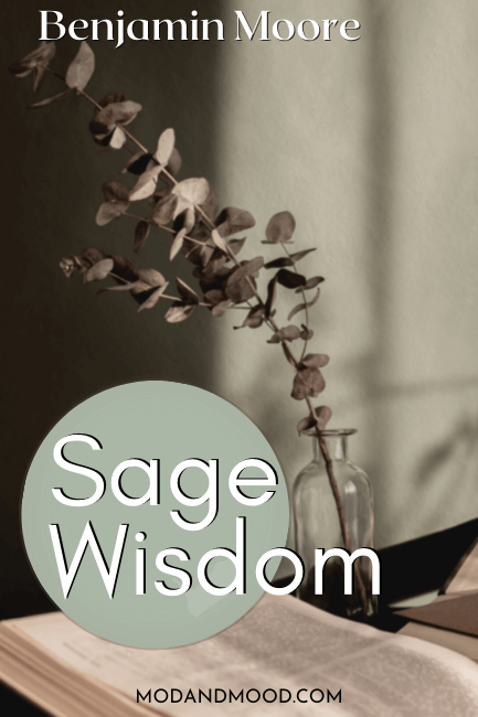 Swatch of Sage Wisdom over a background of an open book and sprig of dried eucalyptus.