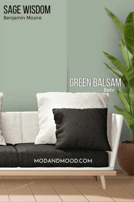 Benjamin Moore Sage Wisdom on half of a wall and Behr dupe Green Balsam on the other half on a living room wall behind a black and white sofa.