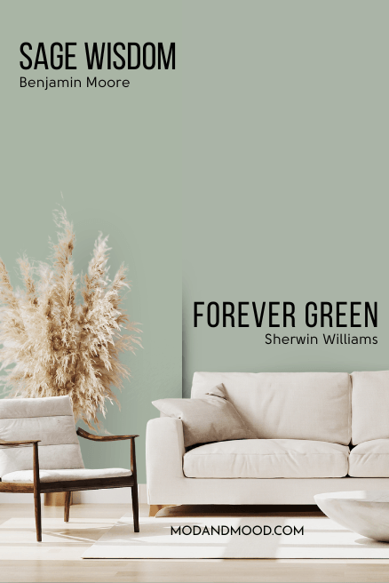 Benjamin Moore Sage Wisdom on half of a wall and Sherwin Williams dupe Forever Green on the other half in a living room with a light sofa and pampas grass.