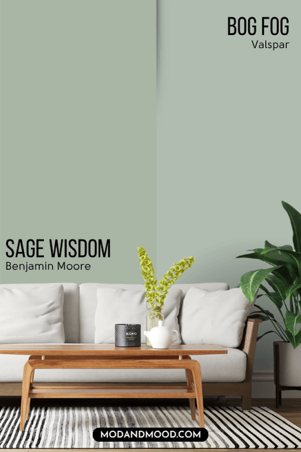 A wall painted half in Sage Wisdom and half in Valspar dupe Bog Fog.