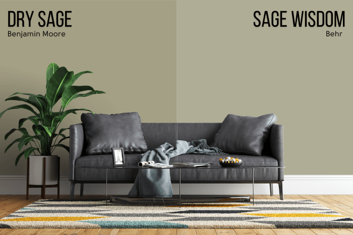 Behr alternative to Dry Sage - Sage Wisdom - on half of a wall and Benjamin Moore Dry Sage on the other half behind a gray leather sofa.