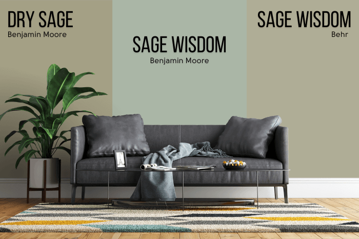 Behr alternative to Dry Sage - Sage Wisdom - on one side of a wall and Benjamin Moore Dry Sage on the other side with Benjamin Moore Dry Sage behind a gray leather sofa.