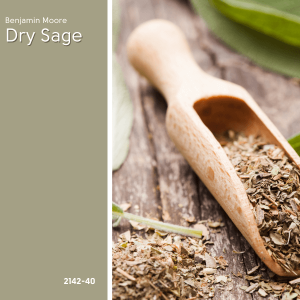 Swatch of Benjamin Moore Dry Sage beside a wooden scoop full of dried sage.