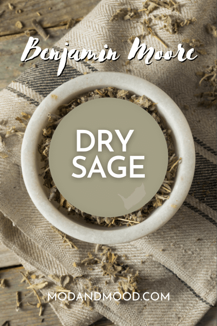 Benjamin moore Dry Sage swatched over a background of dry sage leaves spilling out of a bowl.
