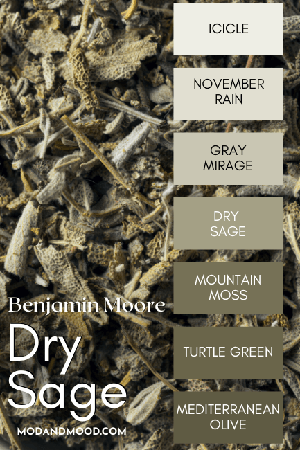 Benjamin Moore Dry Sage color strip features colors from light to dark: Icicle, November Rain, Gray Mirage, Dry Sage, Mountain Moss, Turtle Green, and Mediterranean Olive