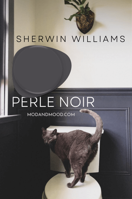 Swatch of Sherwin Williams Perle Noir over a photo of the color in a bathroom.