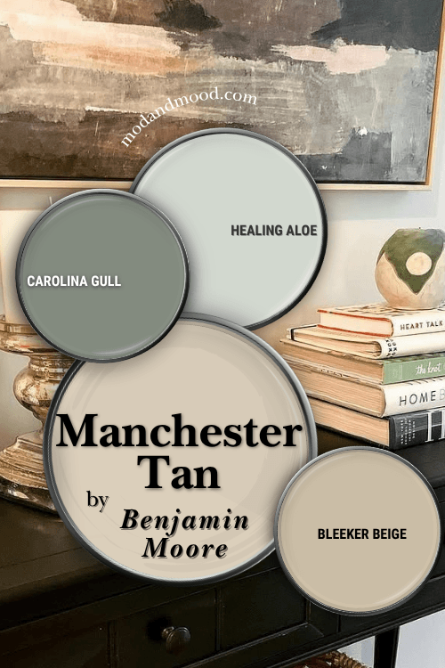 Benjamin Moore Manchester Tan in a color palette with Carolina gull, healing aloe and bleeker beige.