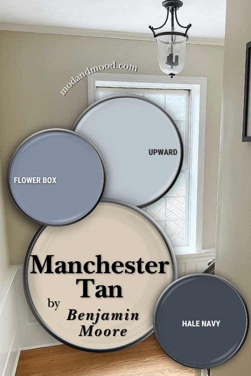 Benjamin Moore Manchester Tan Color Palette features Hale Navy, Upward, and flower box over a background of Manchester Tan in a stiarwell