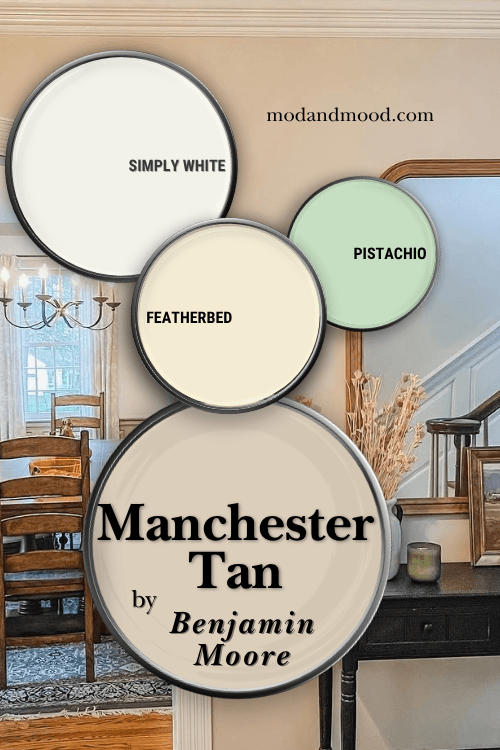 Benjamin Moore Manchester Tan in a color palette with featherbed, pistachio, and simply white over Manchester Tan in a hallway.