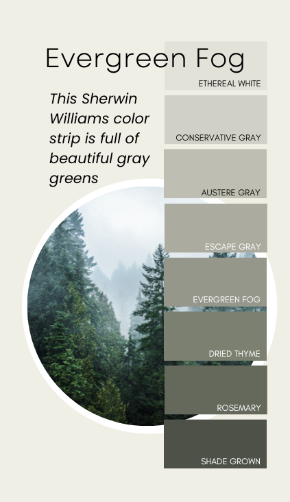 Evergreen Fog color strip features from light to dark: Ethereal White, Conservative Gray, Austere Gray, Escape Gray, Evergreen Fog, Dried Thyme, Rosemary, and Shade Grown