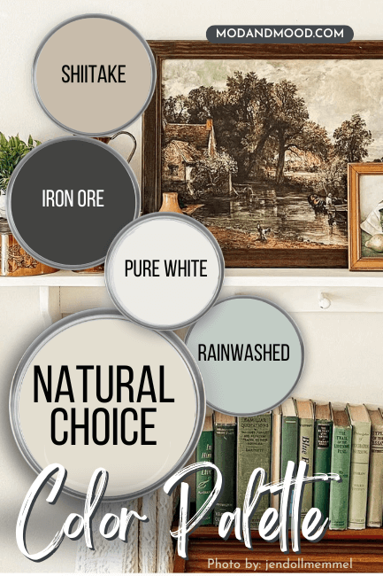 Sherwin Williams Natural Choice color palette features Shiitake, Iron Ore, Pure White, Rainwashed, and natural choice, all on paint lids over a room in Natural Choice with decorated shelves.