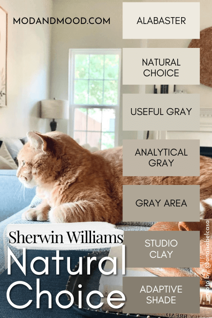 Sherwin Williams Natural Choice slotted in after Alabaster into the color strip featuring Useful Gray, Analytical Gray, Gray Area, Studio Clay, and Adaptive Shade. Background photo is a cozy living room painted in Natural Choice.