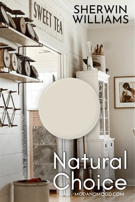 Natural Choice swatched over a room painted in the same color.
