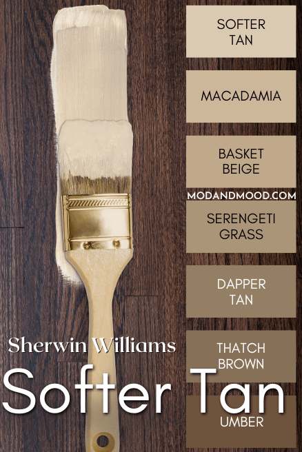 Sherwin Williams Softer Tan color strip features colors from light to dark: Softer Tan, Macadamia, Basket Beige, Serengetti Grass, Dapper Tan, Thatch Brown, and Umber, over a background of a dark wood floor with a paint brush of the color over top.