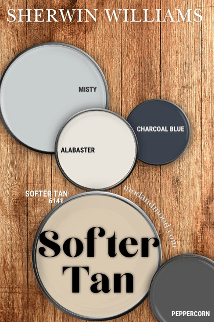 Sherwin Williams Softer Tan in a color palette with Charcoal Blue, Alabaster, Peppercorn, and Misty, over a wood floor background.