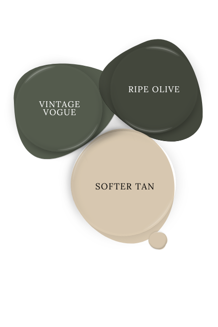 Sherwin Williams Softer Tan swatched beside Vintage Vogue and Ripe Olive.