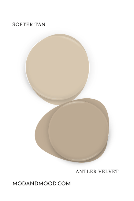 Paint dot of Sherwin Williams Softer Tan with the same of Antler Velvet