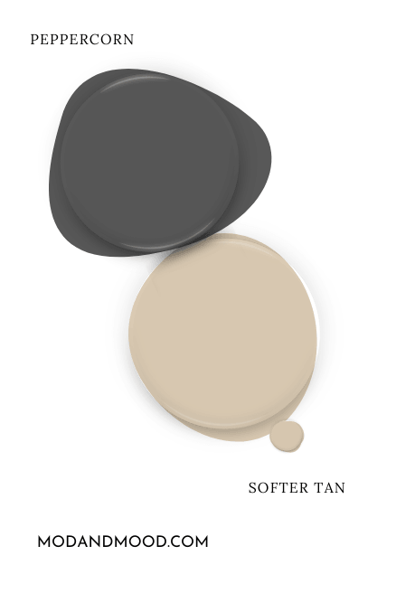 Paint dot of Sherwin Williams Softer Tan beside a paint dot of coordinating color Peppercorn.