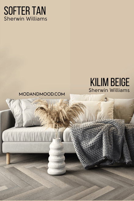 Kilim Beige on half of a wall with SW Softer Tan on the other half behind a light gray sofa.