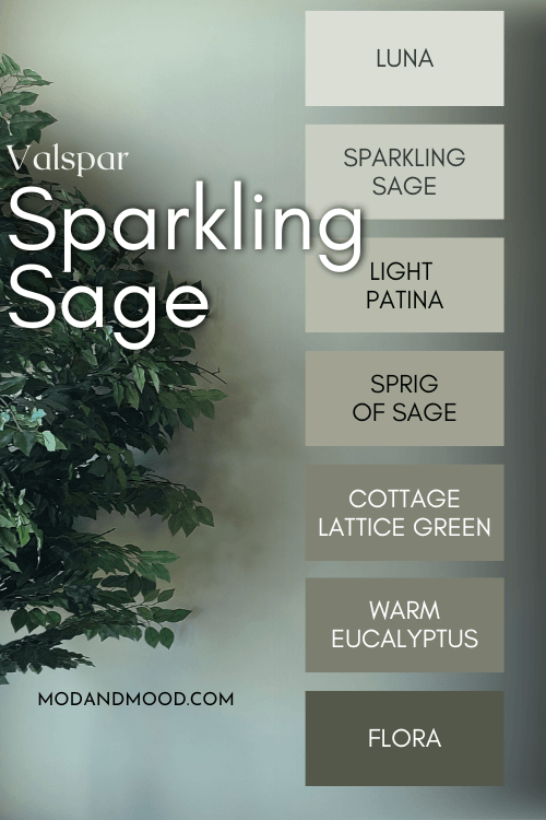Color Strip for Valspar Sparkling Sage features colors light to dark: Luna, Sparkling Sage, Light Patina, Sprig of Sage, Cottage Lattice Green, Warm Eucalyptus, and Flora, over a background of the color on a wall behind a large potted tree.