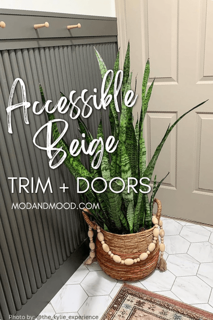 Sherwin williams Accessible Beige on a door and casing with white walls and Urbane Bronze woodwork.