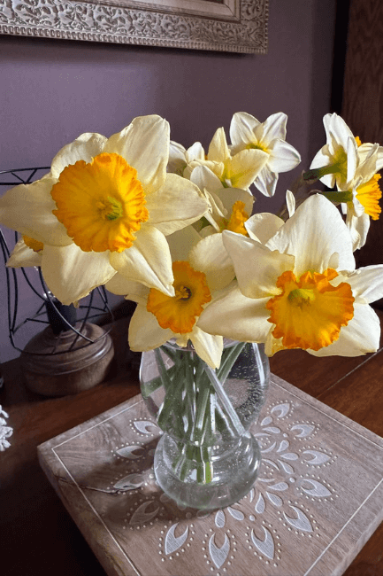 Cinnamon Slate looking very purple on a wall behind a vase of daffodils