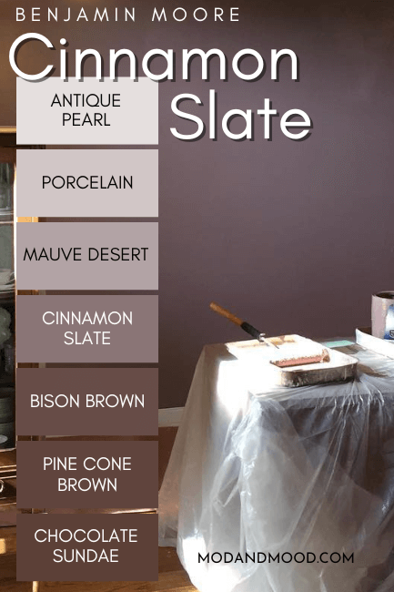 Benjamin Moore Cinnamon Slate color strip features shades from light to dark: Antique Pearl, Porcelain, Mauve Desert, Cinnamon Slate, Bison Brown, Pine Cone Brown, and Chocolate Sundae.