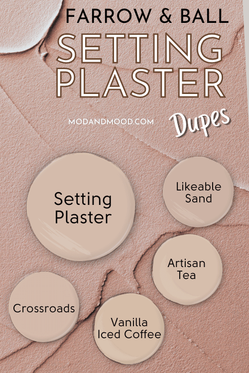 Dupes for Farrow & Ball Setting Plaster arranged as paint dot swatches around a larger paint dot of Setting Plaster over a background of similar colored wet plaster.