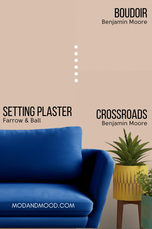 Farrow & Ball Setting Plaster on half of a wall and Benjamin Moore dupes Crossroads and Boudoir swatched on the other half behind a navy blue sofa and a couple of plants.