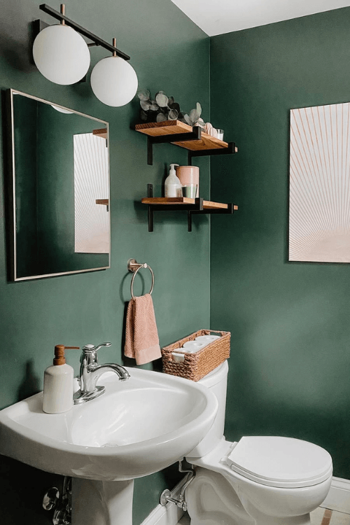 Rock Garden on the walls in a powder room with white toilet and pedestal sink, and a white and black light fixture above a small mirror.