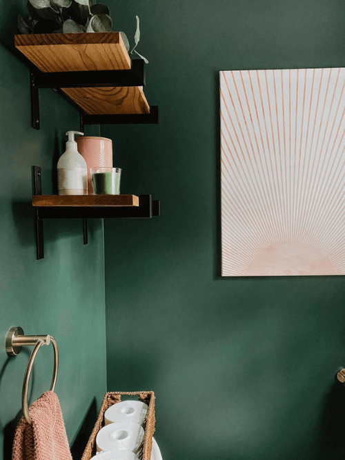 Rock Garden on the walls in a powder room with wood shelves and canvas art.