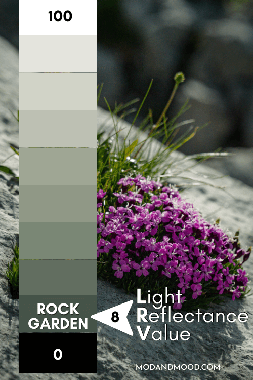The LRV of Sherwin Williams Rock Garden plotted at 8 on a scale of 100 (white) to 0 (black) over a background of purple flowers growing on a rock.